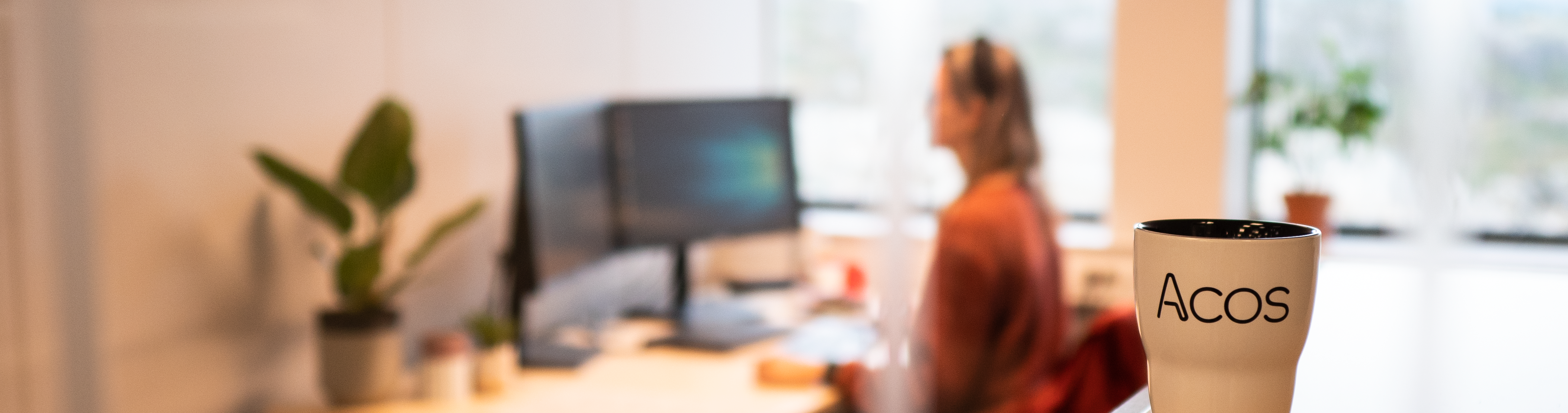 LinkdIn Banner forslag-Dec-16-2024-12-14-56-8840-PM